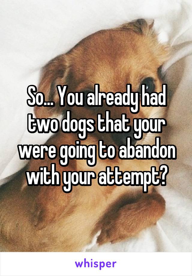 So... You already had two dogs that your were going to abandon with your attempt?