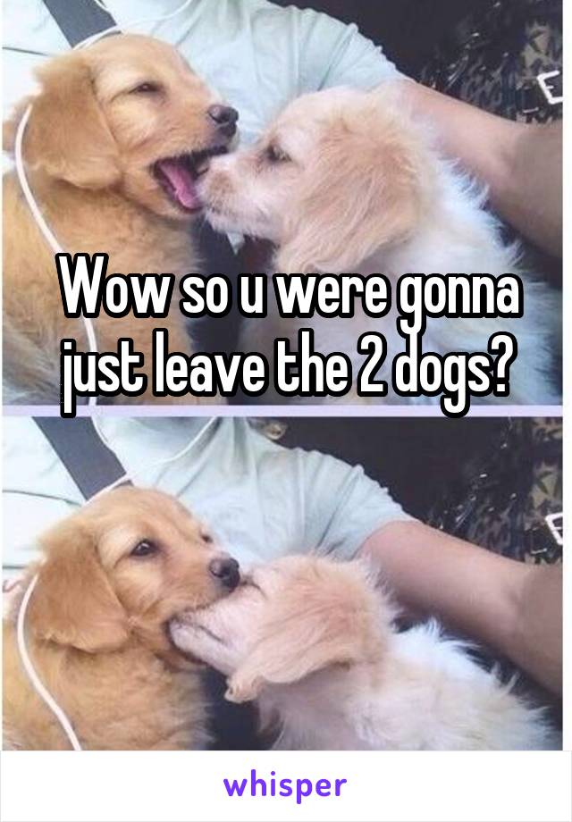 Wow so u were gonna just leave the 2 dogs?

