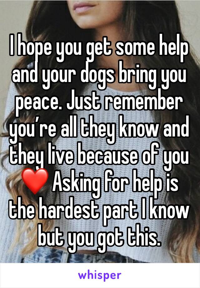 I hope you get some help and your dogs bring you peace. Just remember you’re all they know and they live because of you ❤️ Asking for help is the hardest part I know but you got this. 