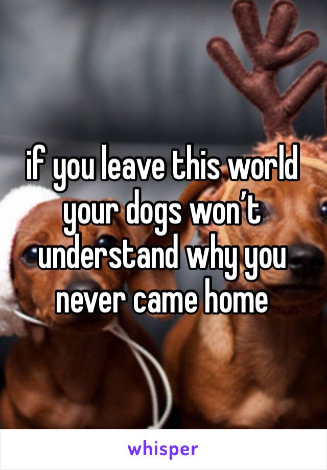 if you leave this world your dogs won’t understand why you never came home 