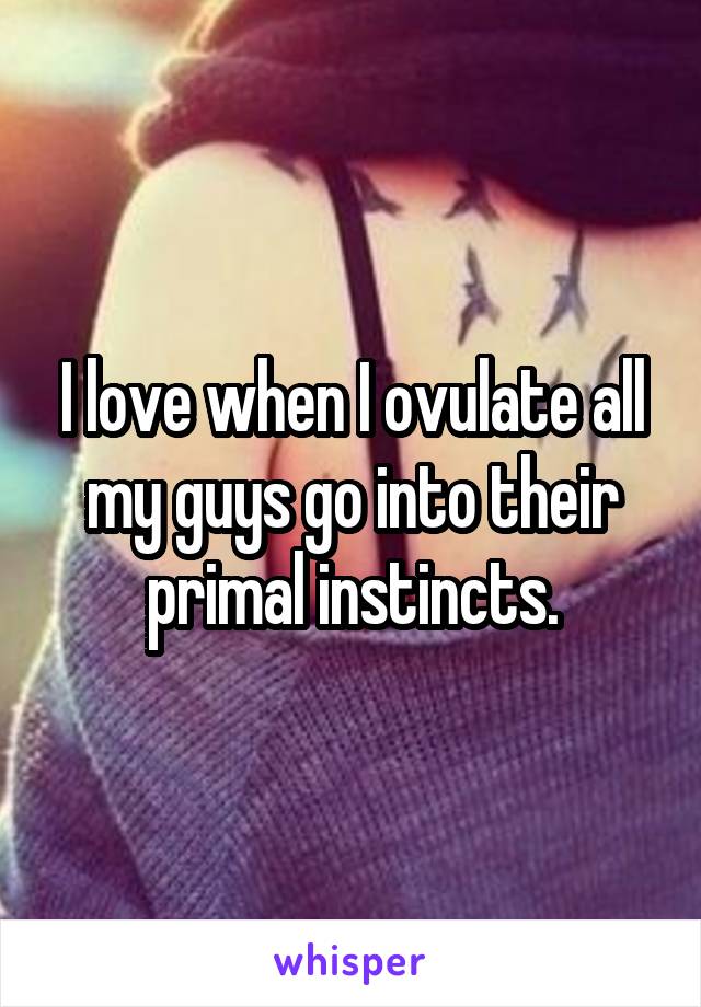 I love when I ovulate all my guys go into their primal instincts.