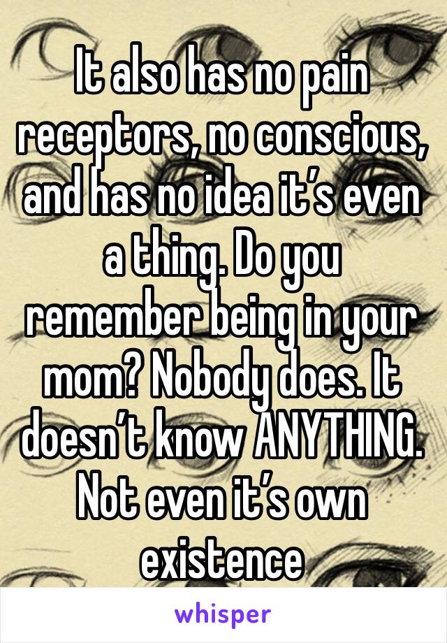 It also has no pain receptors, no conscious, and has no idea it’s even a thing. Do you remember being in your mom? Nobody does. It doesn’t know ANYTHING. Not even it’s own existence 