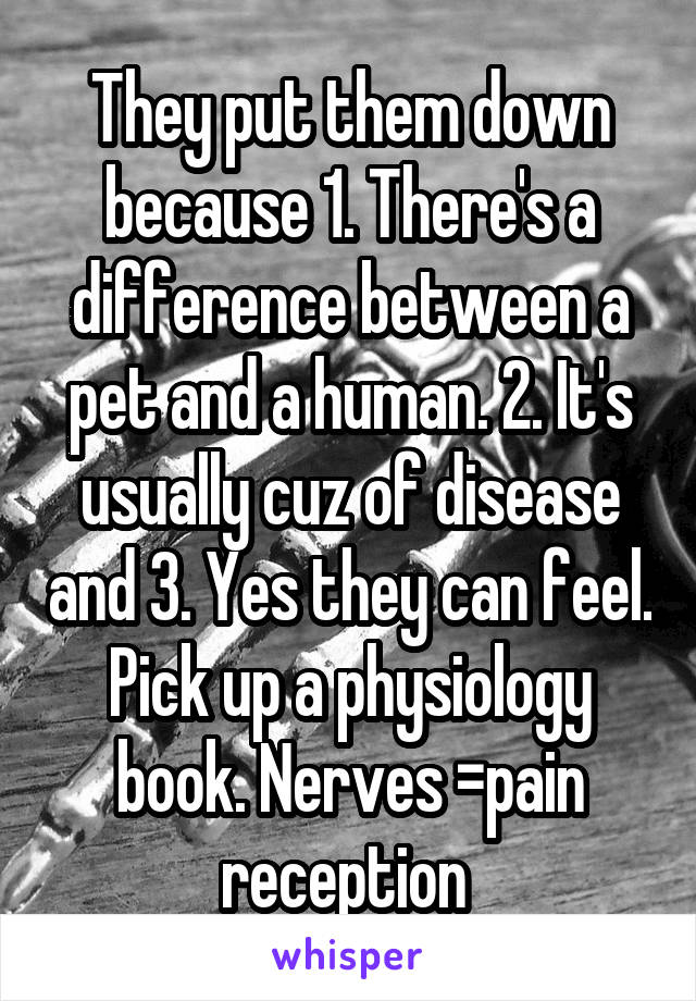 They put them down because 1. There's a difference between a pet and a human. 2. It's usually cuz of disease and 3. Yes they can feel. Pick up a physiology book. Nerves =pain reception 