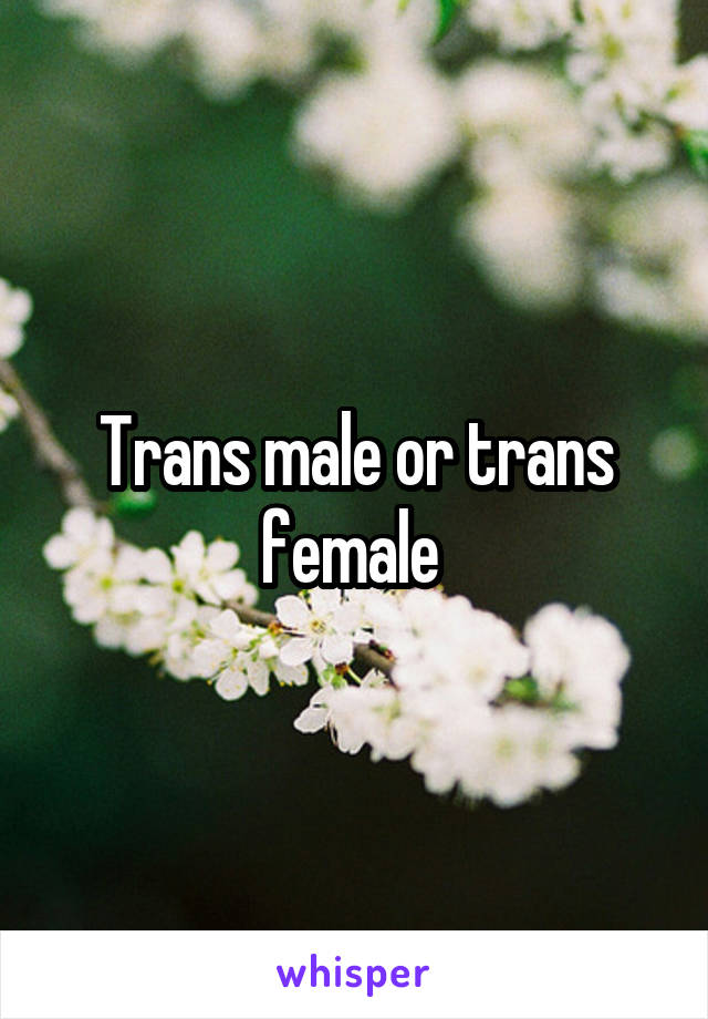 Trans male or trans female 