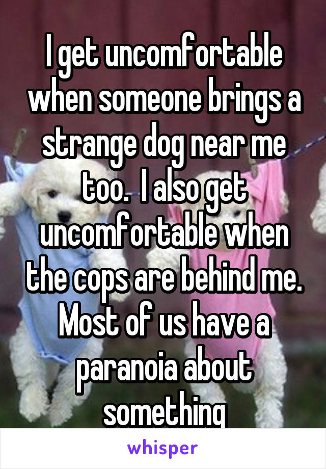 I get uncomfortable when someone brings a strange dog near me too.  I also get uncomfortable when the cops are behind me. Most of us have a paranoia about something