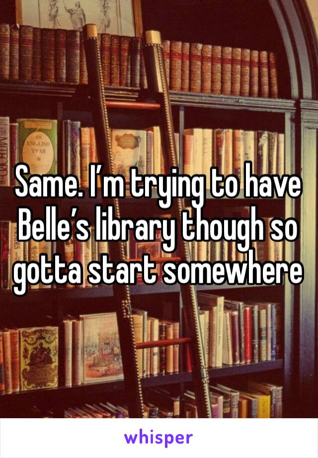 Same. I’m trying to have Belle’s library though so gotta start somewhere 