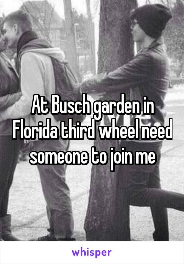 At Busch garden in Florida third wheel need someone to join me