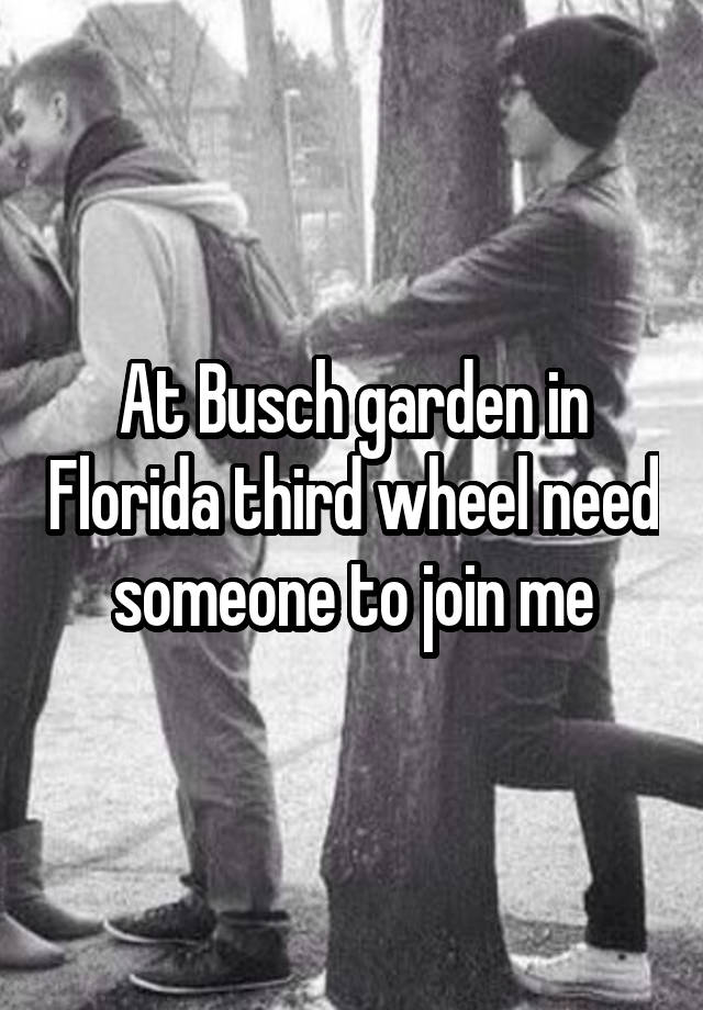 At Busch garden in Florida third wheel need someone to join me