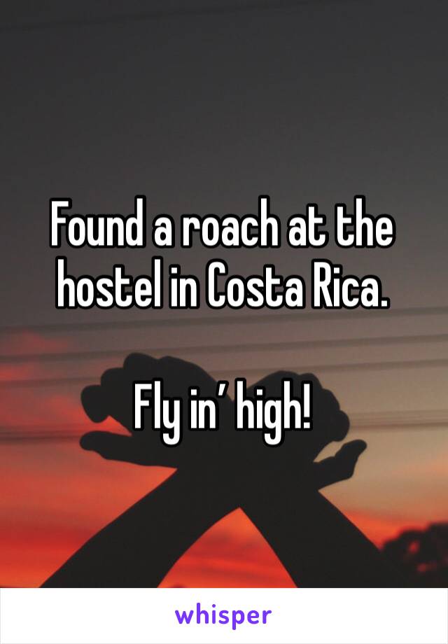 Found a roach at the hostel in Costa Rica.

Fly in’ high!