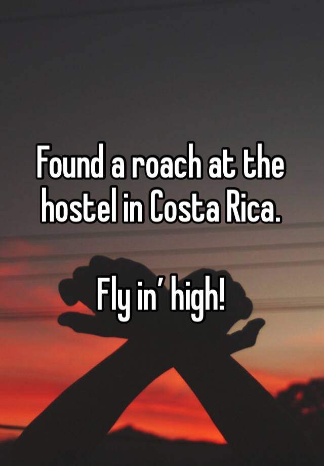 Found a roach at the hostel in Costa Rica.

Fly in’ high!