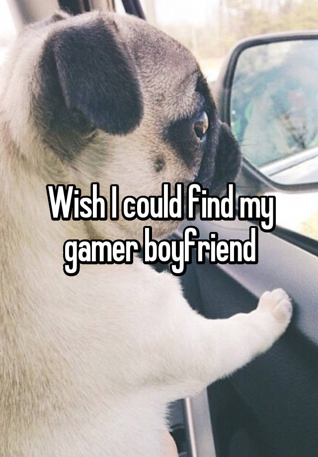 Wish I could find my gamer boyfriend