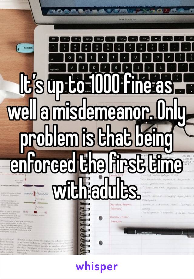 It’s up to 1000 fine as well a misdemeanor. Only problem is that being enforced the first time with adults.