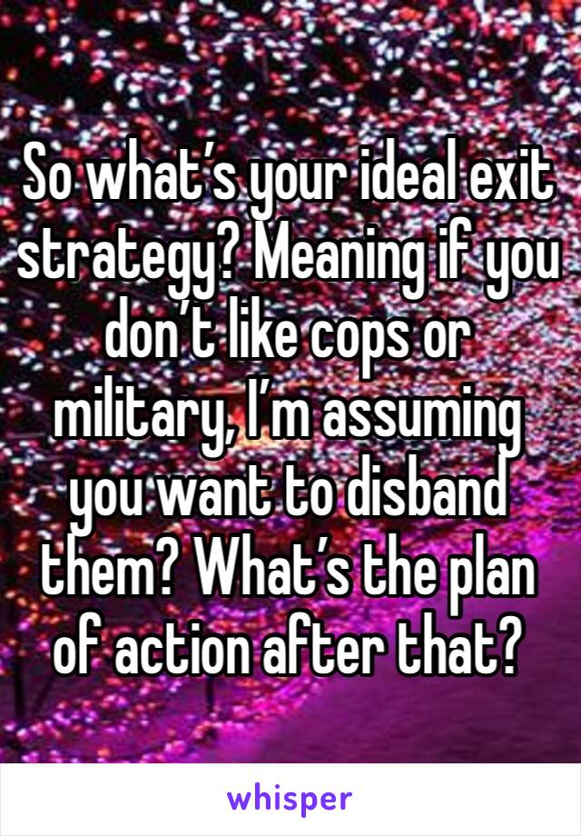 So what’s your ideal exit strategy? Meaning if you don’t like cops or military, I’m assuming you want to disband them? What’s the plan of action after that?