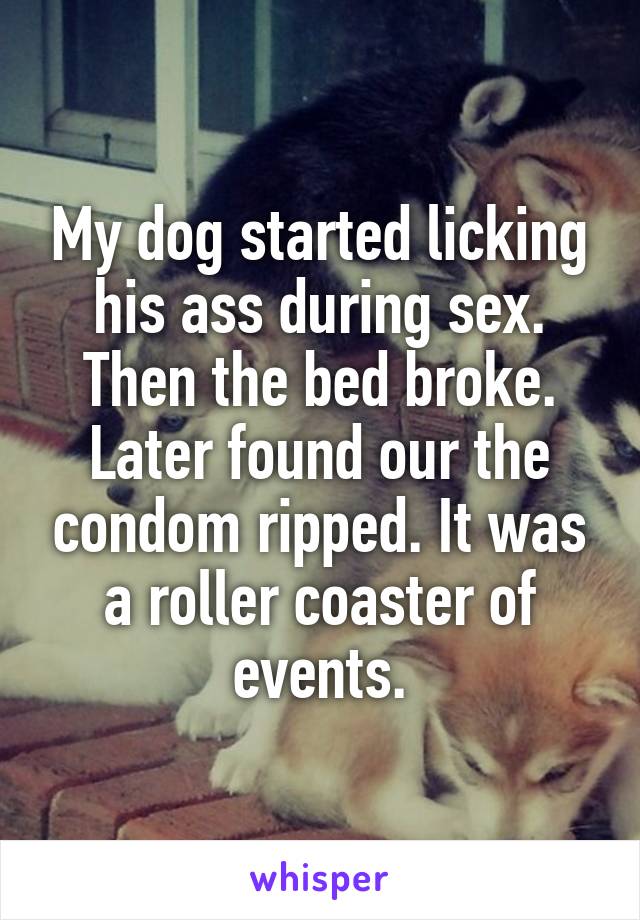 My dog started licking his ass during sex. Then the bed broke. Later found our the condom ripped. It was a roller coaster of events.