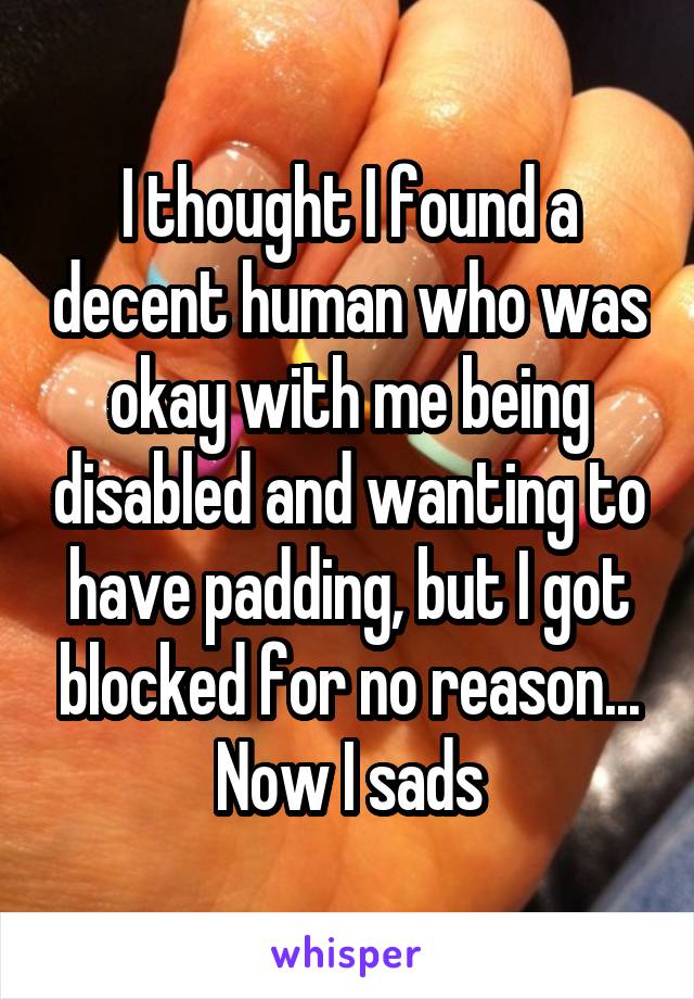 I thought I found a decent human who was okay with me being disabled and wanting to have padding, but I got blocked for no reason... Now I sads