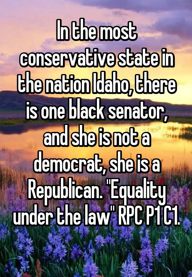 In the most conservative state in the nation Idaho, there is one black senator, and she is not a democrat, she is a Republican. "Equality under the law" RPC P1 C1. 