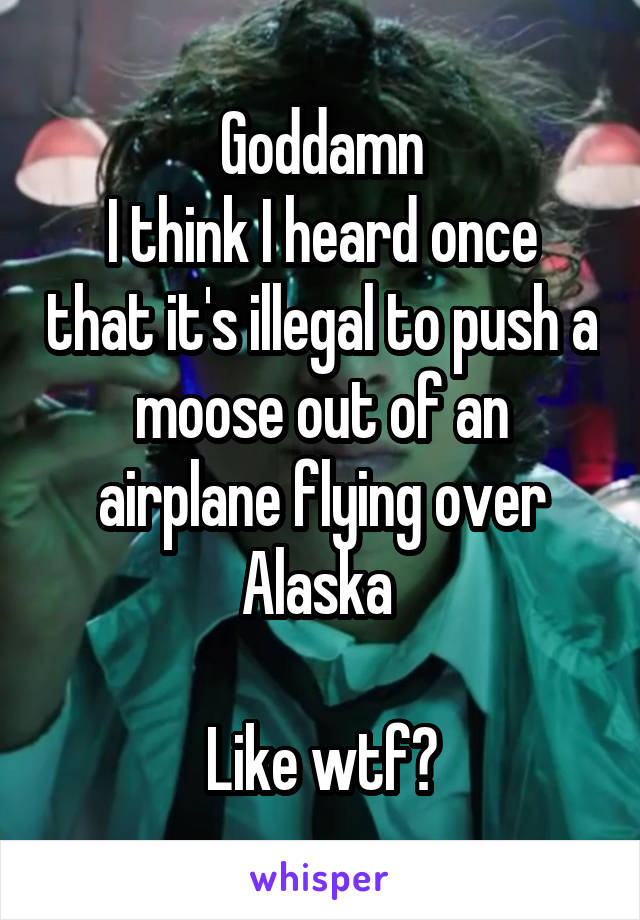 Goddamn
I think I heard once that it's illegal to push a moose out of an airplane flying over Alaska 

Like wtf?