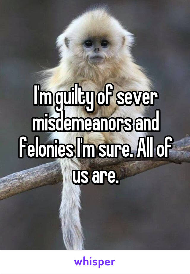 I'm guilty of sever misdemeanors and felonies I'm sure. All of us are.