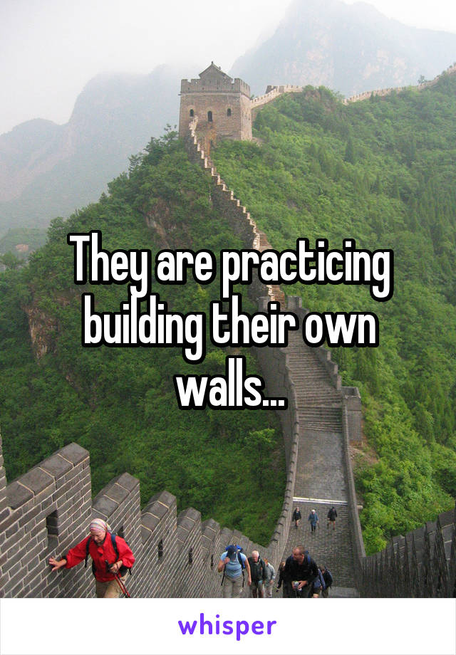 They are practicing building their own walls...