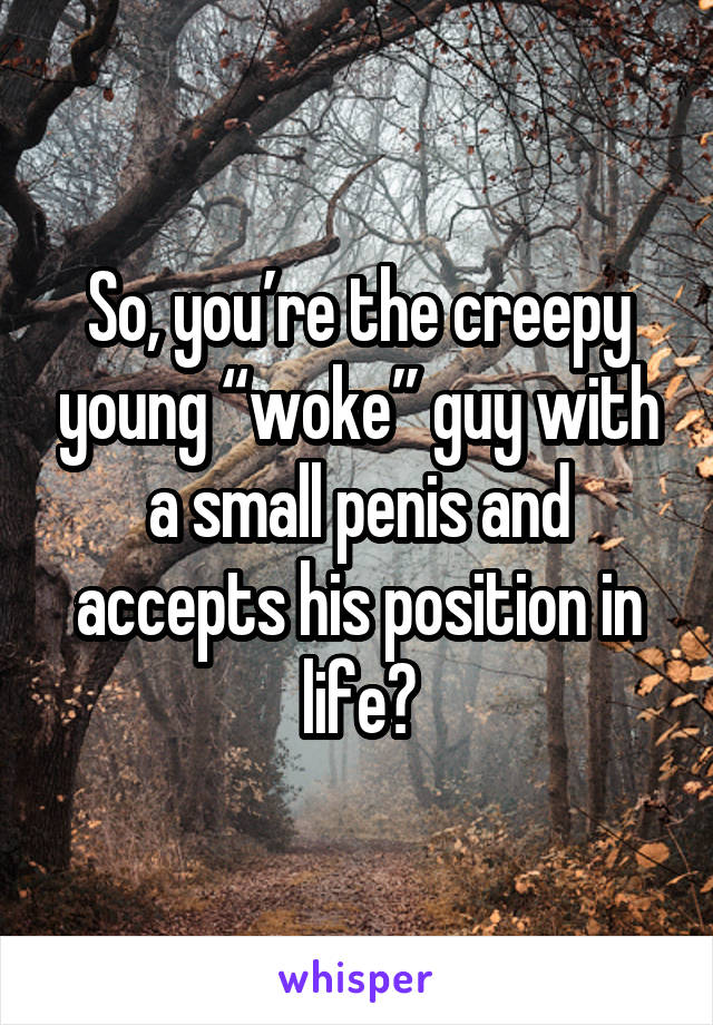 So, you’re the creepy young “woke” guy with a small penis and accepts his position in life?