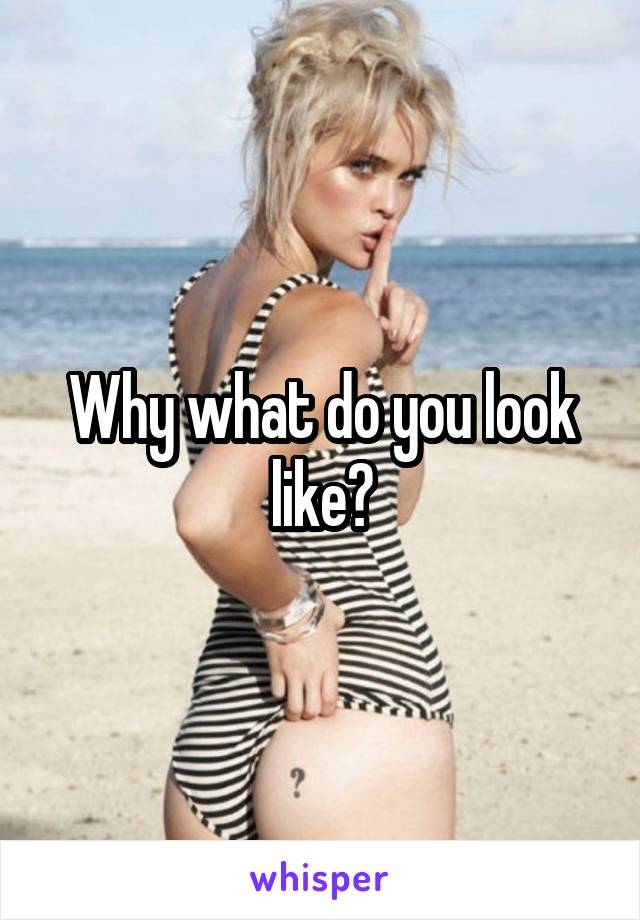 Why what do you look like?