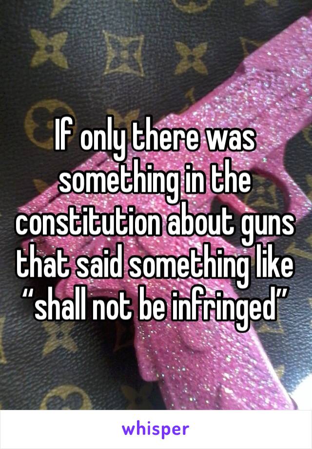 If only there was something in the constitution about guns that said something like “shall not be infringed”