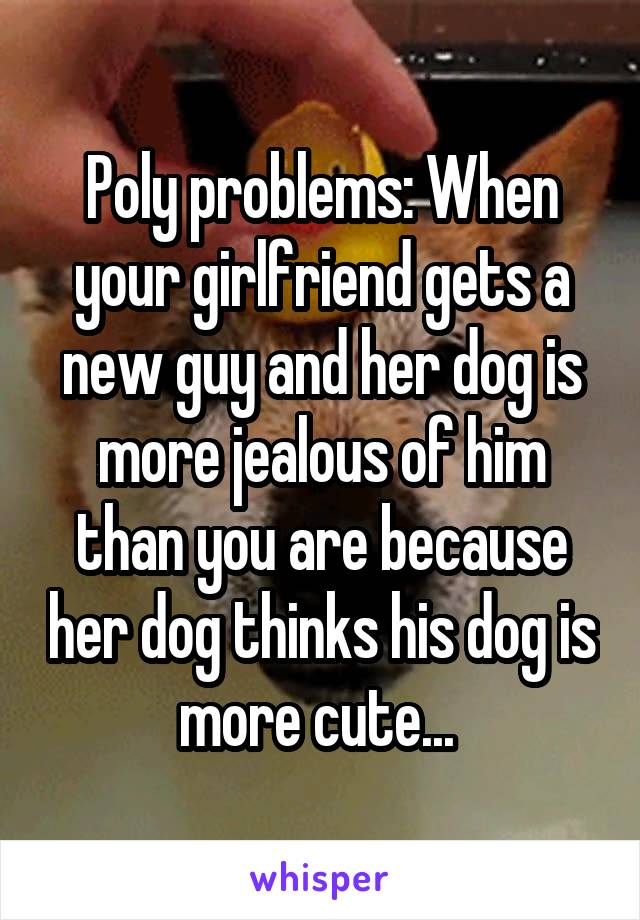Poly problems: When your girlfriend gets a new guy and her dog is more jealous of him than you are because her dog thinks his dog is more cute... 