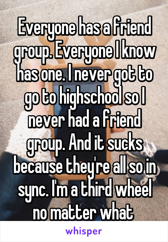 Everyone has a friend group. Everyone I know has one. I never got to go to highschool so I never had a friend group. And it sucks because they're all so in sync. I'm a third wheel no matter what 