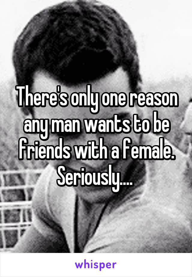 There's only one reason any man wants to be friends with a female. Seriously.... 