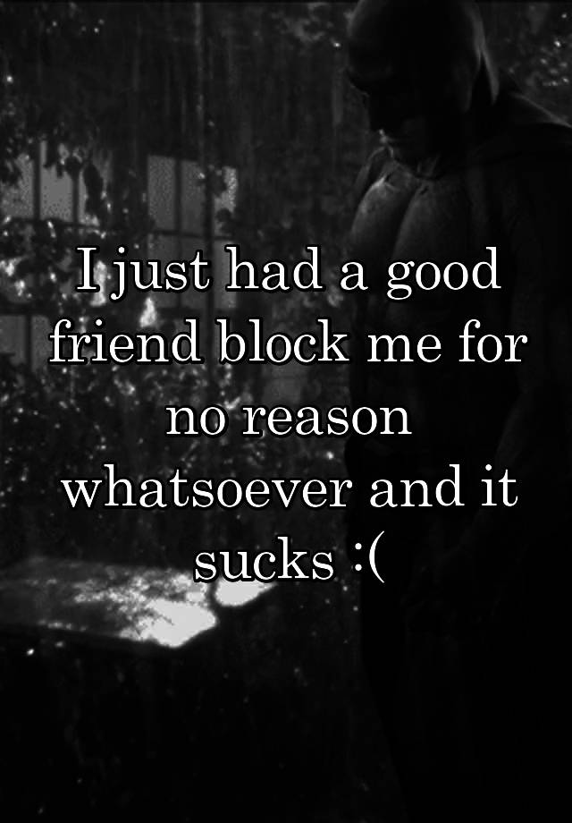 I just had a good friend block me for no reason whatsoever and it sucks :(