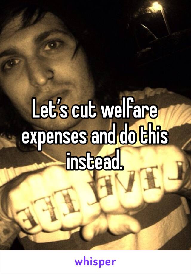 Let’s cut welfare expenses and do this instead. 