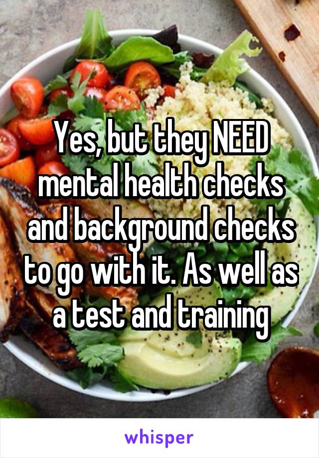 Yes, but they NEED mental health checks and background checks to go with it. As well as a test and training