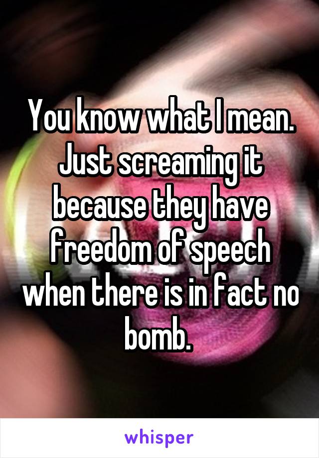 You know what I mean. Just screaming it because they have freedom of speech when there is in fact no bomb. 