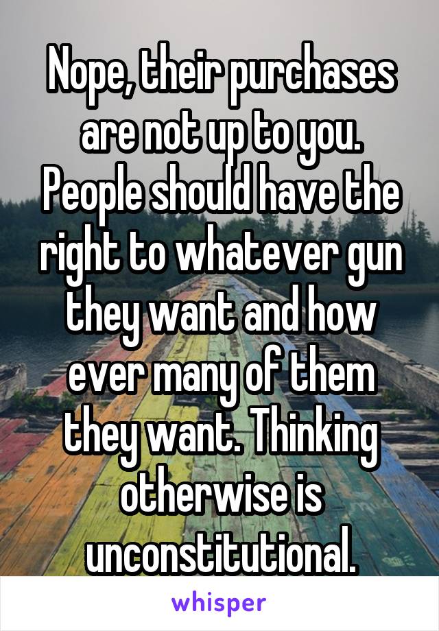 Nope, their purchases are not up to you. People should have the right to whatever gun they want and how ever many of them they want. Thinking otherwise is unconstitutional.