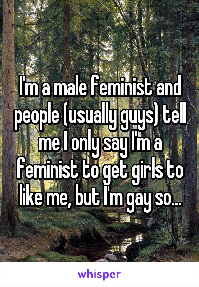 I'm a male feminist and people (usually guys) tell me I only say I'm a feminist to get girls to like me, but I'm gay so...