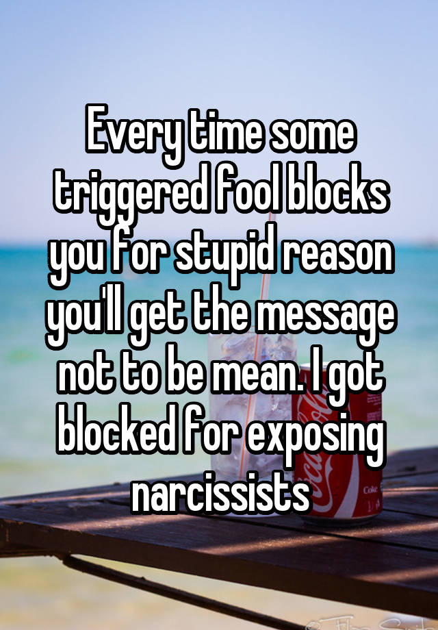 Every time some triggered fool blocks you for stupid reason you'll get the message not to be mean. I got blocked for exposing narcissists