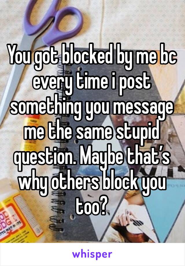 You got blocked by me bc every time i post something you message me the same stupid question. Maybe that’s why others block you too?