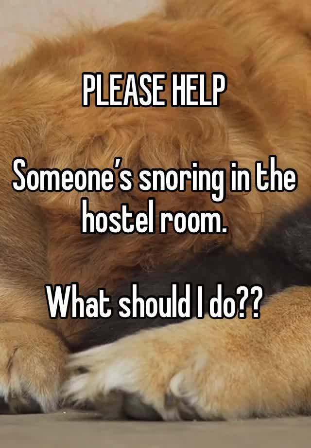 
PLEASE HELP

Someone’s snoring in the hostel room.

What should I do??