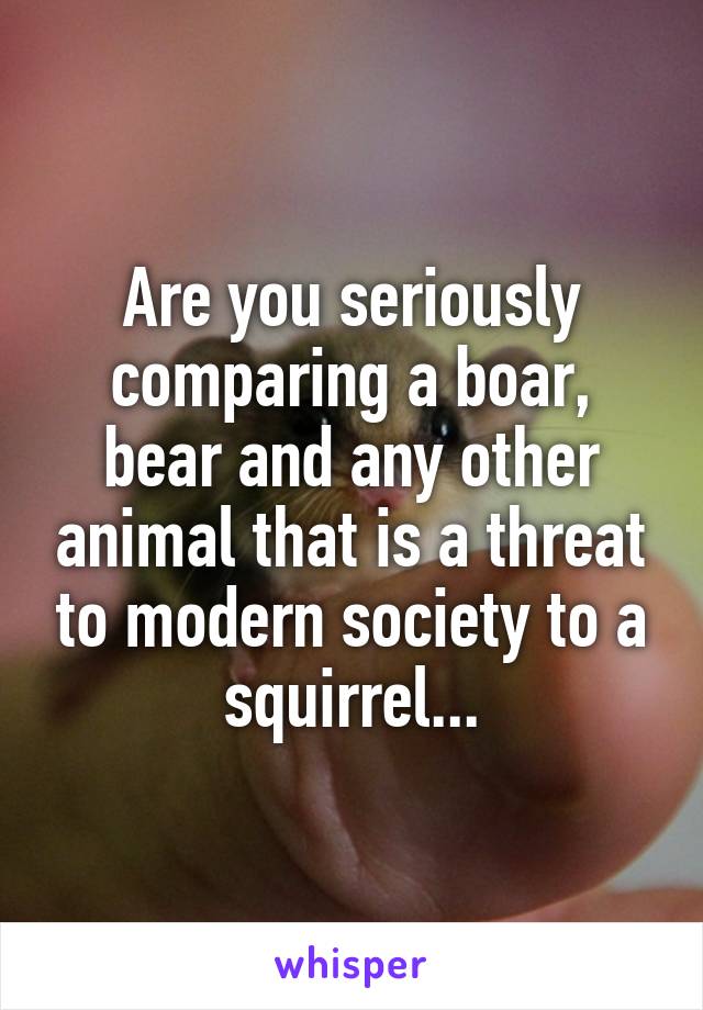 Are you seriously comparing a boar, bear and any other animal that is a threat to modern society to a squirrel...