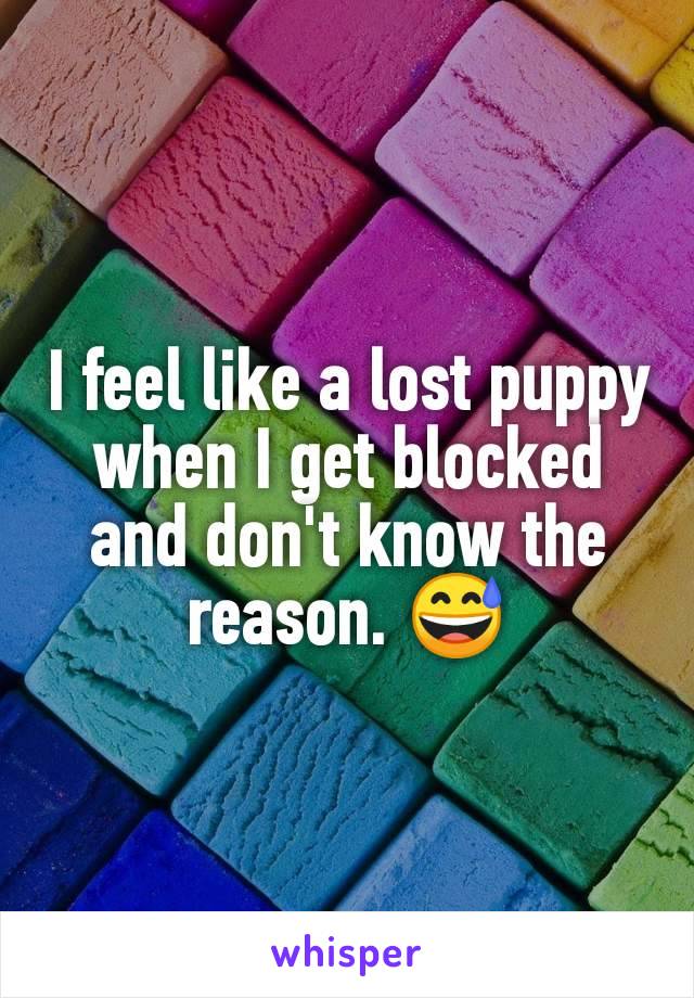 I feel like a lost puppy when I get blocked and don't know the reason. 😅