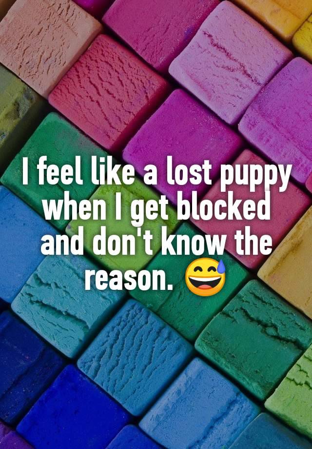 I feel like a lost puppy when I get blocked and don't know the reason. 😅