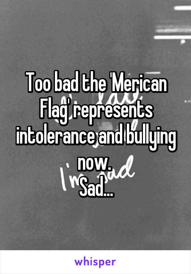 Too bad the 'Merican Flag' represents intolerance and bullying now. 
Sad...