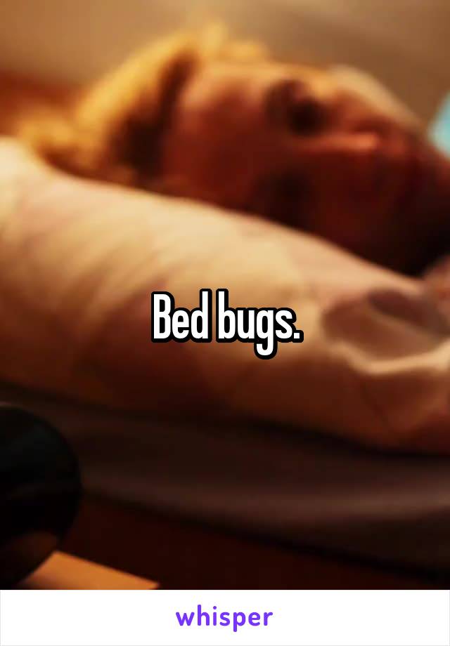 Bed bugs.