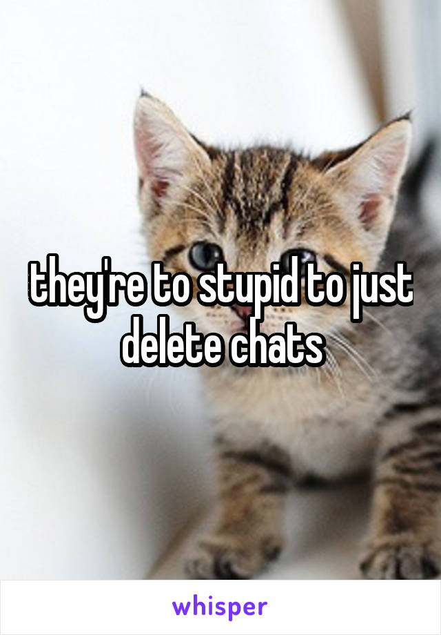 they're to stupid to just delete chats