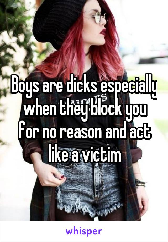 Boys are dicks especially when they block you for no reason and act like a victim