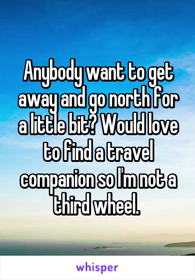 Anybody want to get away and go north for a little bit? Would love to find a travel companion so I'm not a third wheel. 