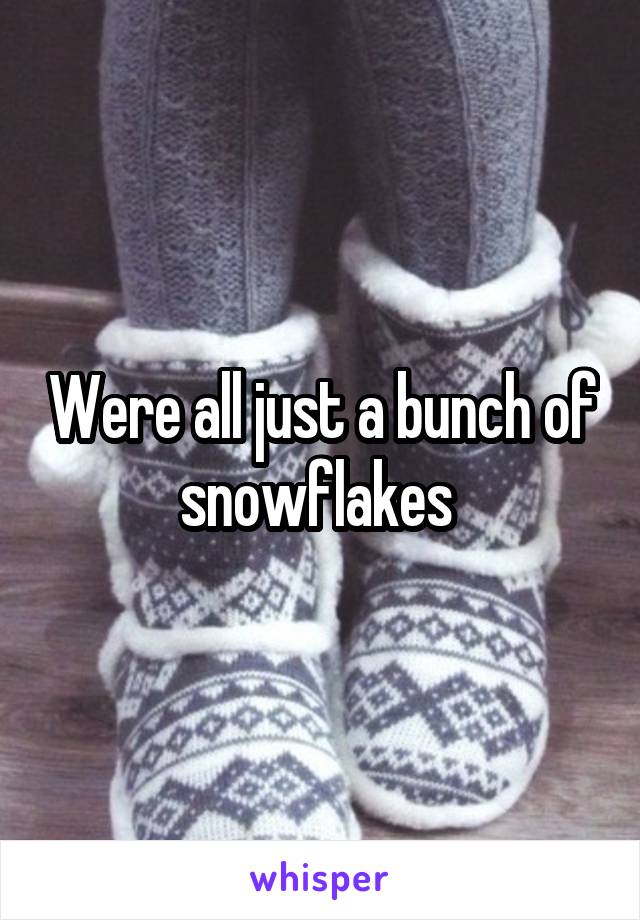 Were all just a bunch of snowflakes 