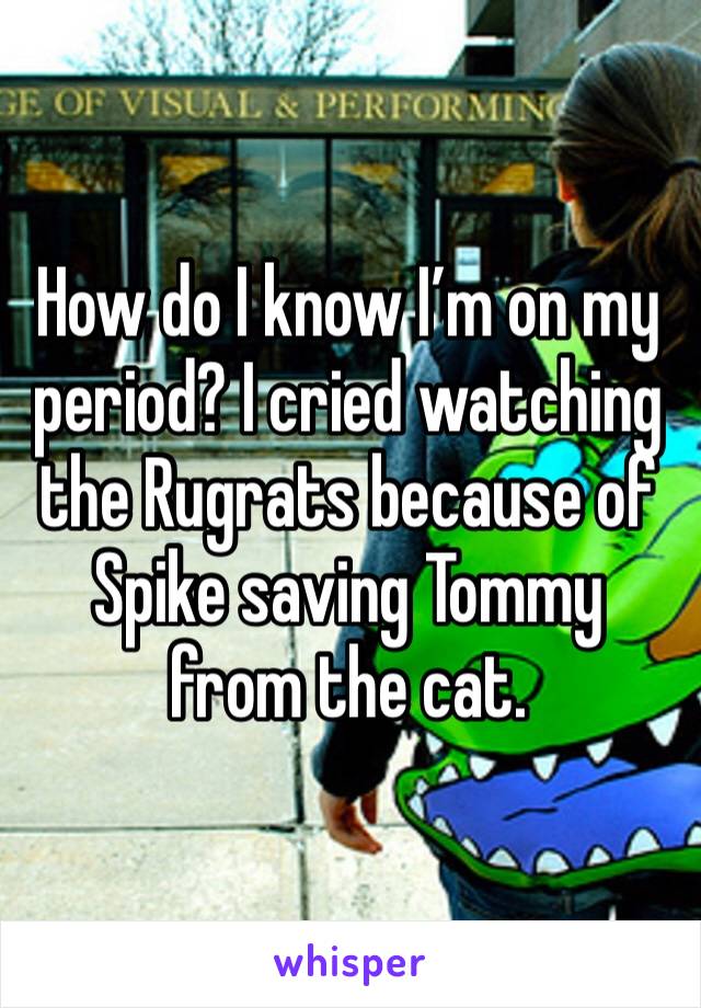 How do I know I’m on my period? I cried watching the Rugrats because of Spike saving Tommy from the cat. 