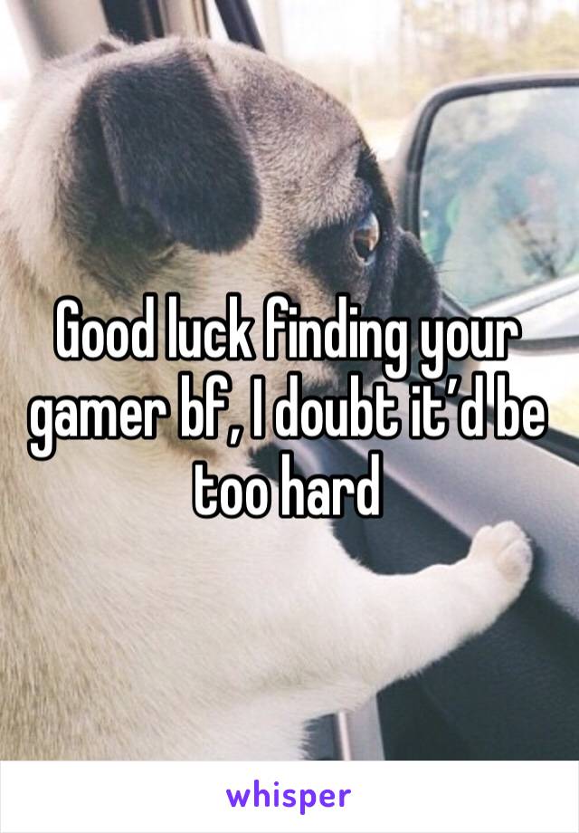 Good luck finding your gamer bf, I doubt it’d be too hard