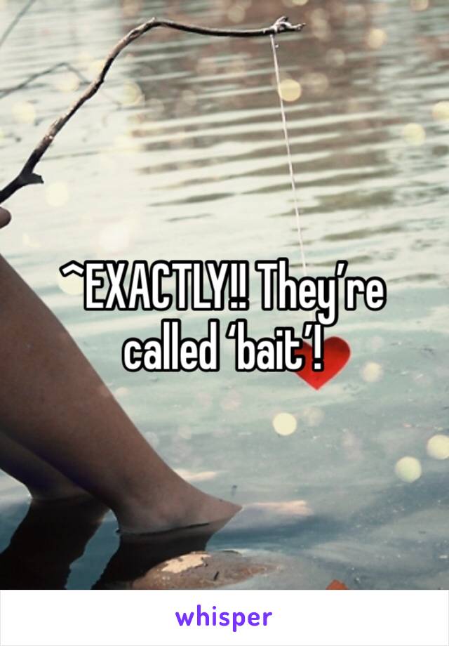 ^EXACTLY!! They’re called ‘bait’!